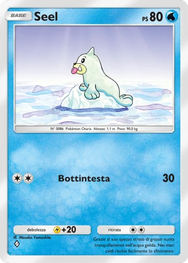 Seel