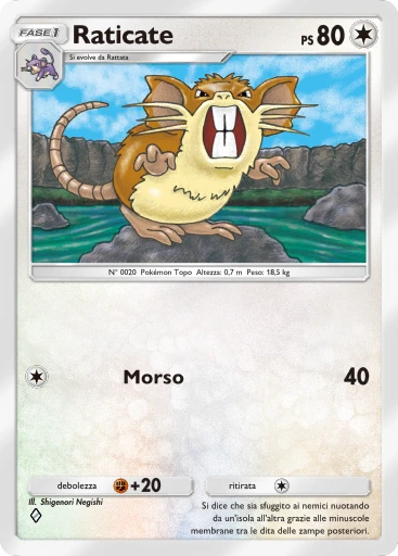 Raticate