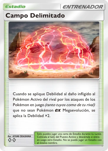 Campo Delimitado