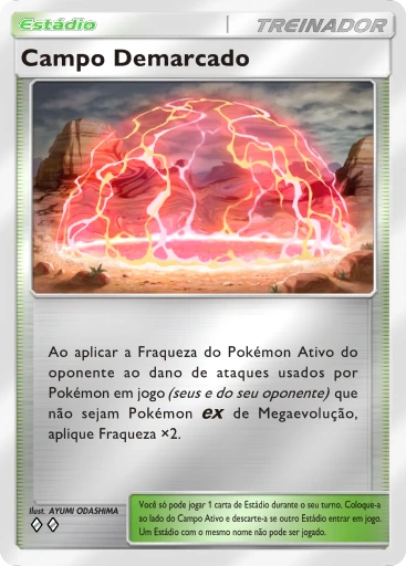 Campo Demarcado